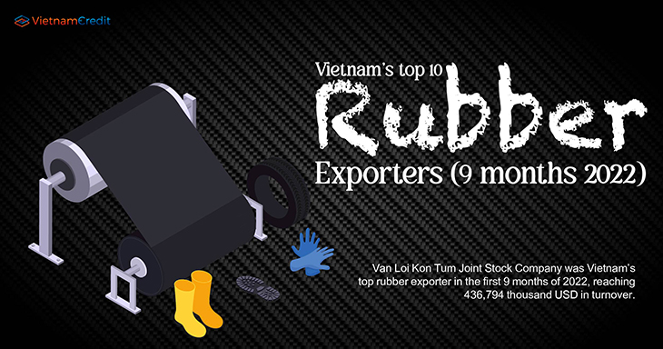 Vietnam’s top 10 rubber exporters (9 months 2022)